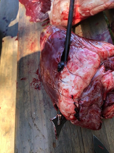 Elk-heart